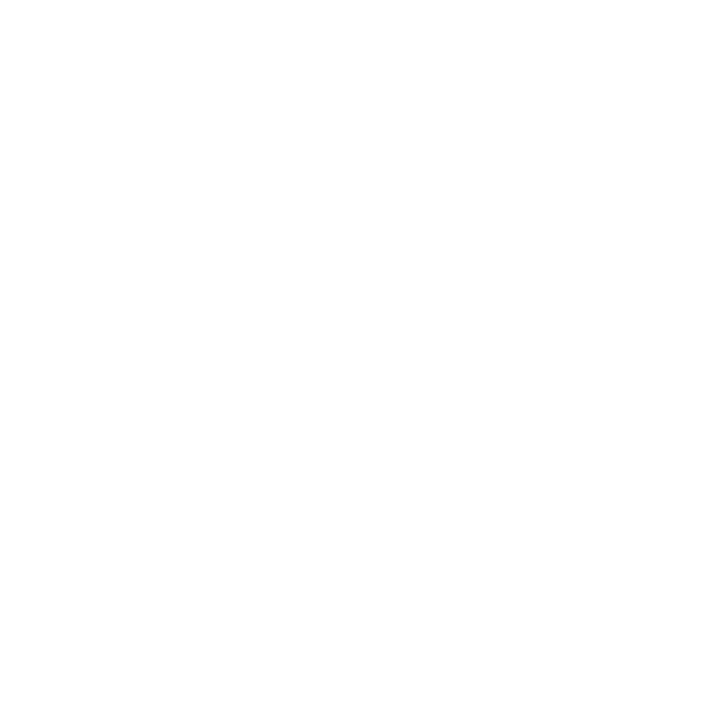 Shot