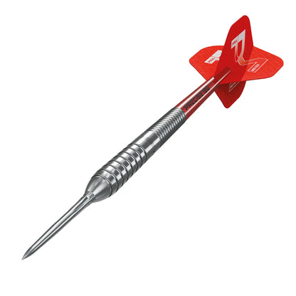 Precise180 ‘Paul Meyer’ Steel Tip Darts