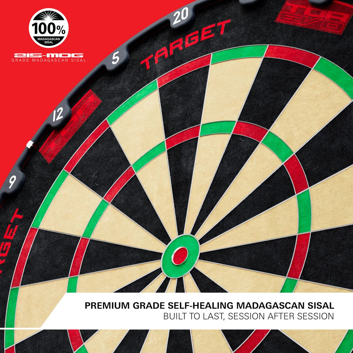 Target TOR EVO Professional Dartboard