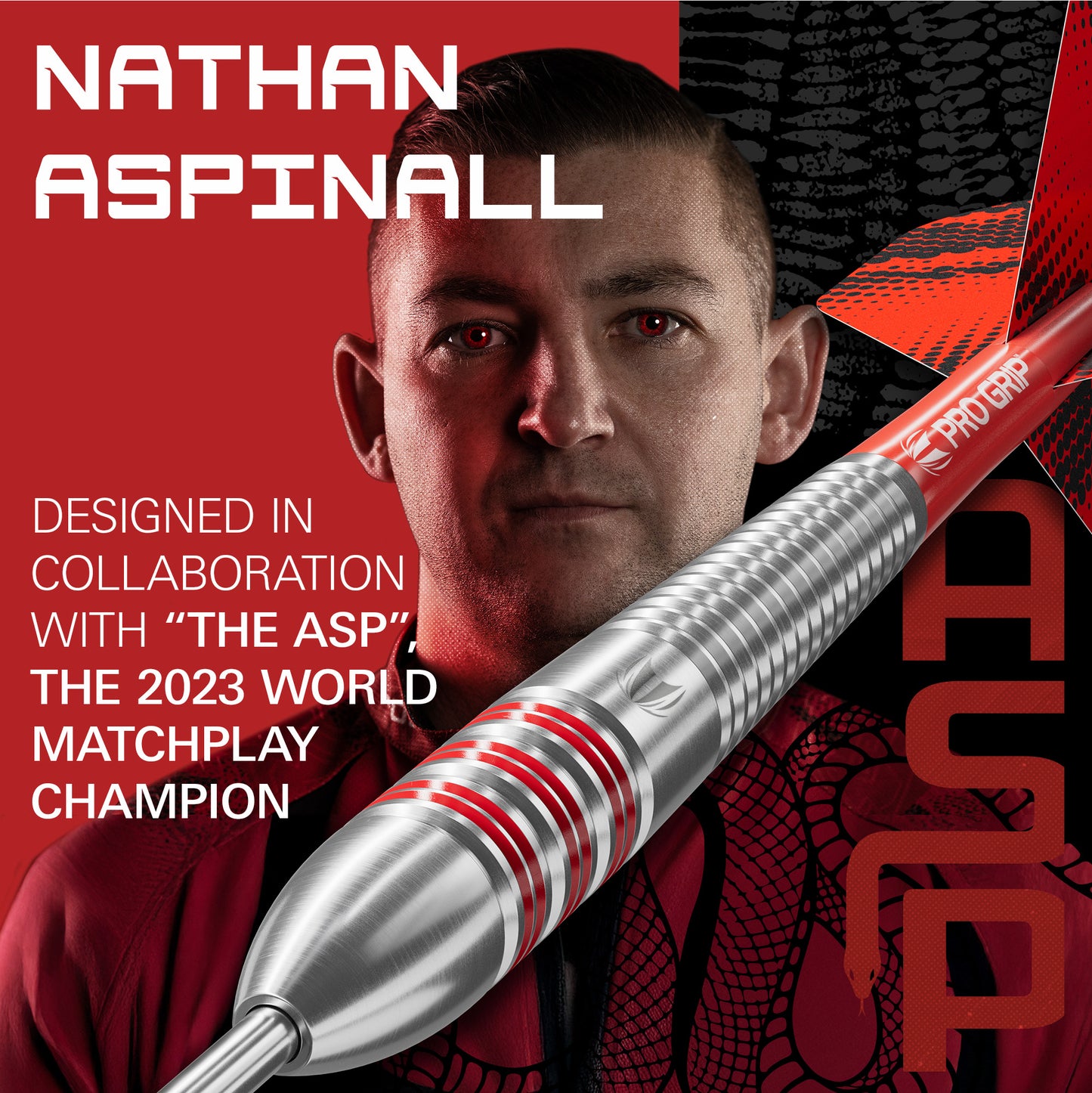 Target Nathan Aspinall Brass Steel Tip 22g Set