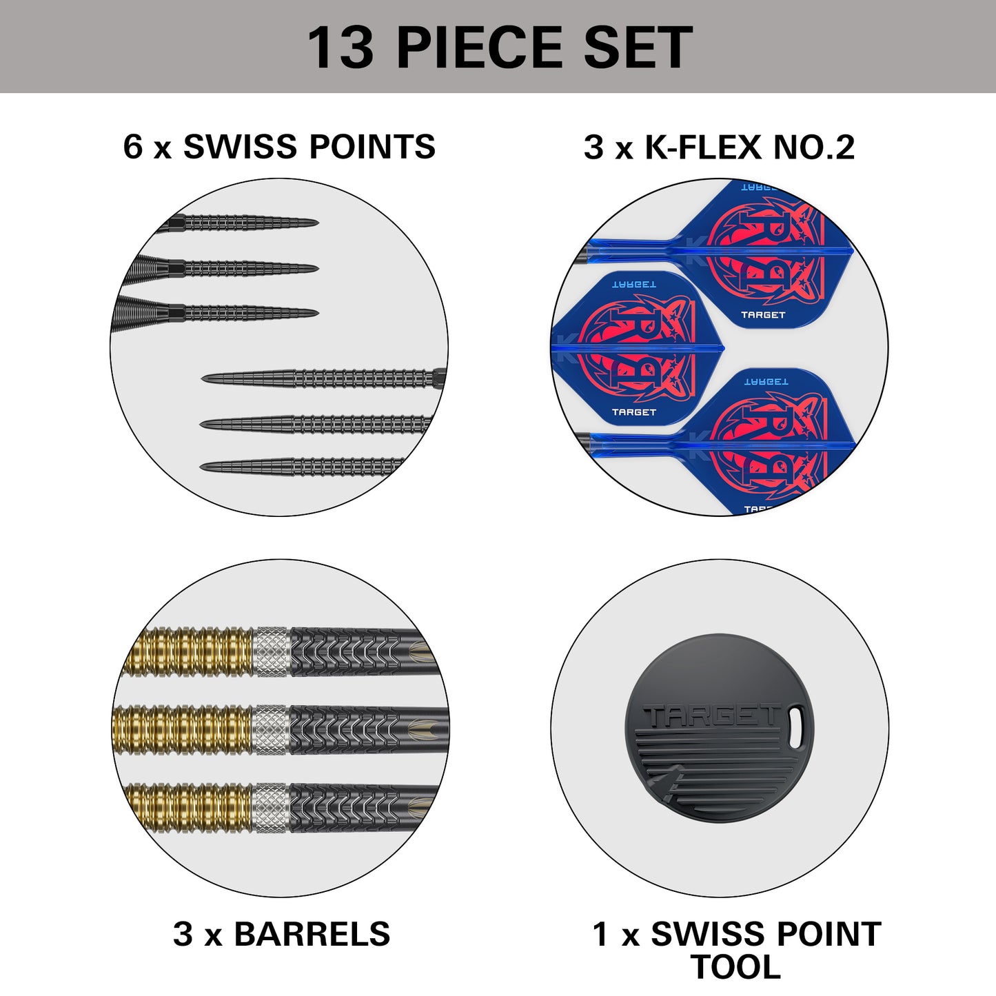 Target Raymond Van Barneveld G6 SP